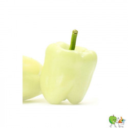 Poivrons blancs 450g-550g