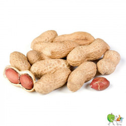 Arachides 1kg avec coques