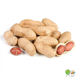 Arachides 250g avec coques