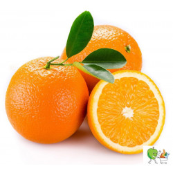 Oranges - 900g-1100g