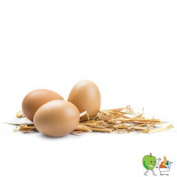 Oeufs fermiers gros calibre
