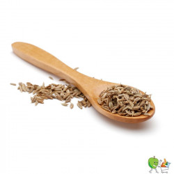 Cumin graine