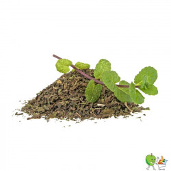 Menthe poivrée séchée - 40g