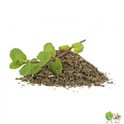 Menthe poivrée séchée - 40g