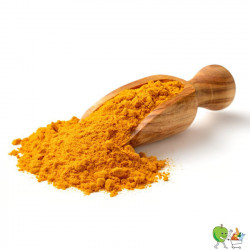Curcuma