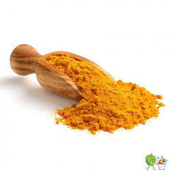 Curcuma