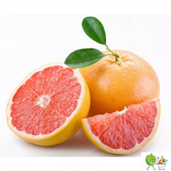 Grapefruit rouge pièce