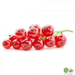 Raisinets barquette 250g