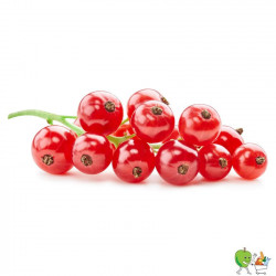 Raisinets barquette 250g
