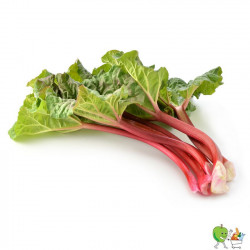 Rhubarbes 500gr