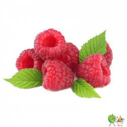 Framboises Barquette 250g