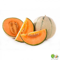 Melon Charentais