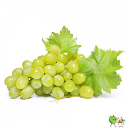 Raisin blanc sans pépin 500g