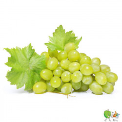 Raisin blanc sans pépin 500g