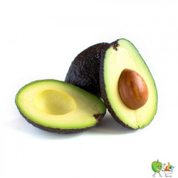 Avocats Haas - Piéce