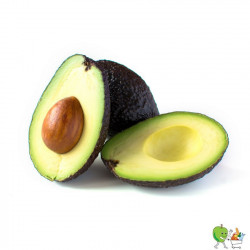 Avocats Haas - Piéce