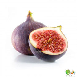 Figues fraîches - Piéce