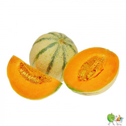 Melon charentais - Piéce