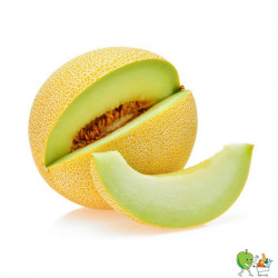 Melons Galia - Piéce