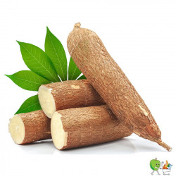 Manioc - 900g-1100g