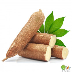 Manioc - 900g-1100g