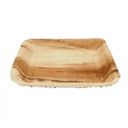 Grandes assiettes jetables