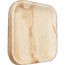 Petites assiettes jetables