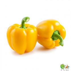Poivrons jaunes 450g-550g