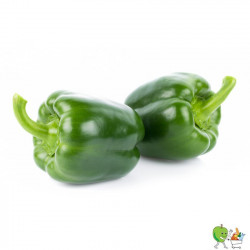 Poivrons verts 450g-550g