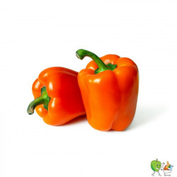 Poivrons oranges 450g-550g