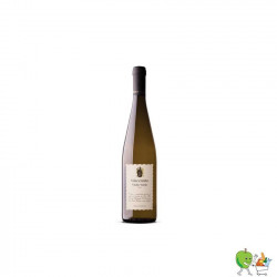 Vin blanc - Vilacetinho -...