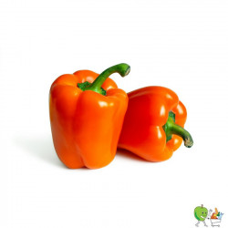 Poivrons oranges 450g-550g