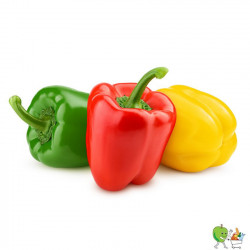 Poivrons Tricolore 500g