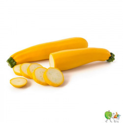 Courgettes Jaunes 550g-650g