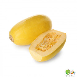 Courges Spaghettis -...