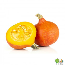 Courges Potimarron -...