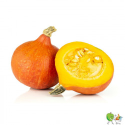 Courges Potimarron -...