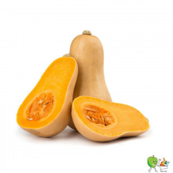 Courges Butternut -...