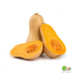 Courges Butternut -...