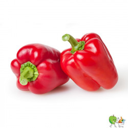 Poivrons rouges 450g-550g