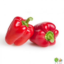 Poivrons rouges 450g-550g