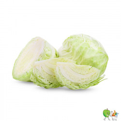 Choux blanc - 900g-1100g