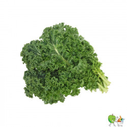 Choux Kale vert - 450g-550g