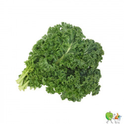 Choux Kale vert - 450g-550g