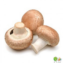 Champignons de Paris Brun -...