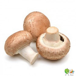Champignons de Paris Brun -...