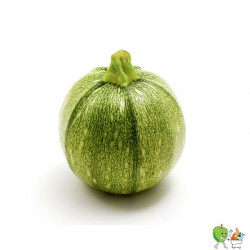 Rondini vert - 450g-550g