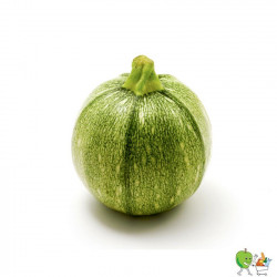 Rondini vert - 450g-550g