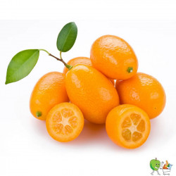 Kumquats - 450g-550g