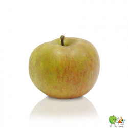 Pommes Boscoop - 900g-1100g
